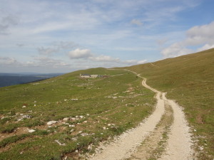 Route des crêtes 4