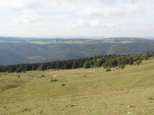 Route des crêtes 4