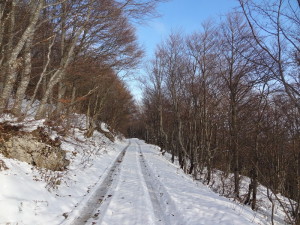 L'hiver est là