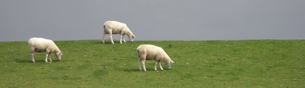 North Sea Cycle Route