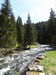 Doubs
