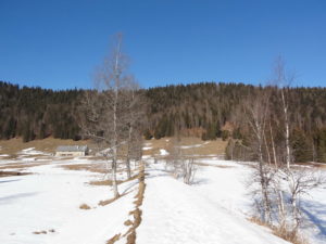 Vallée de Joux