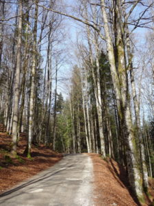 Jura