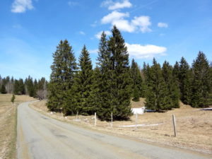 Jura