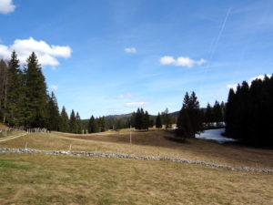Jura