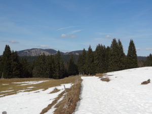 Jura