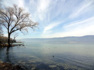 Lac de Neuchâtel