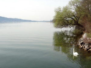 Ile St-Pierre